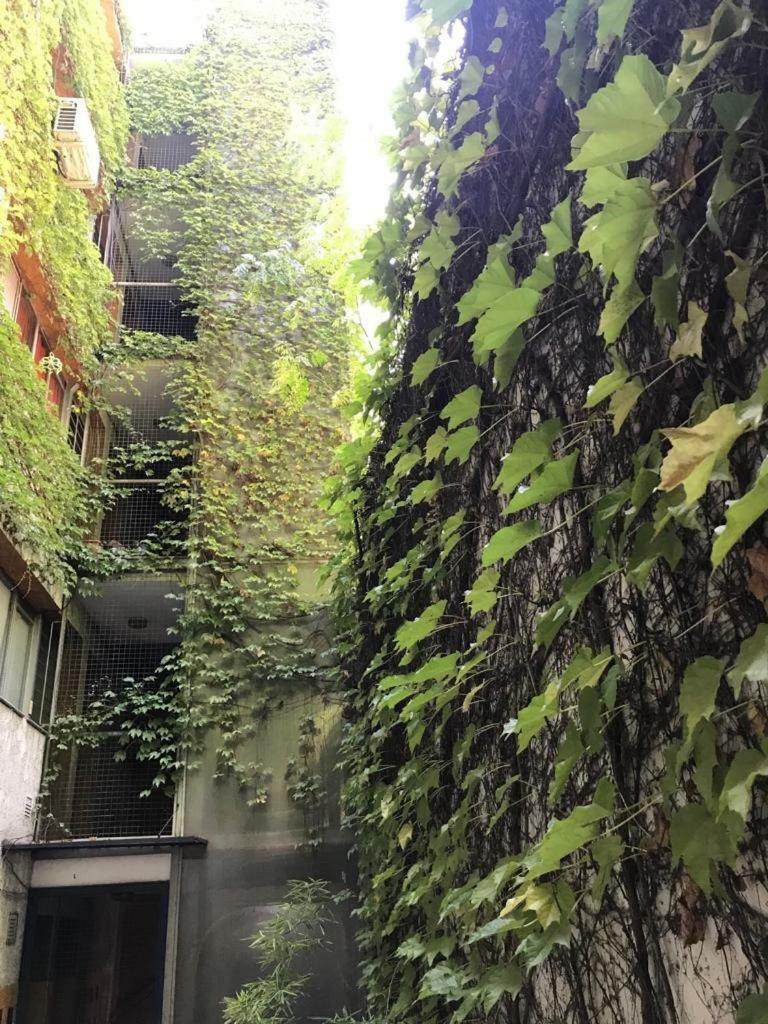 Departamento De 2 Dormitorios, Excelente Ubicacion Mendoza Ngoại thất bức ảnh